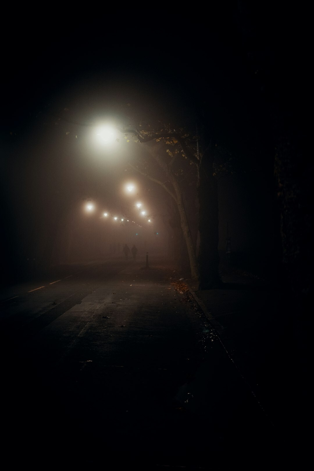 foggy night street